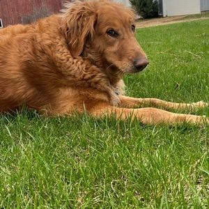 Meet your Posher, Colin